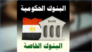 الفرق بين البنوك الحكومية المصرية والبنوك الخاصة في مصر